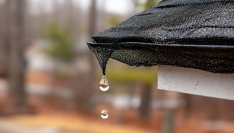 Gutter Mesh Installation