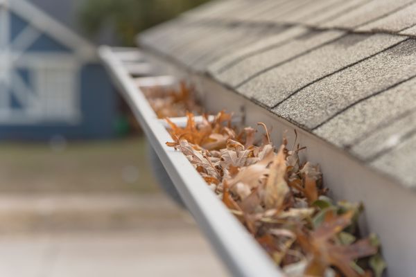 Leaf Barrier Installation in Fuquay Varina